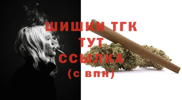 mdpv Переславль-Залесский