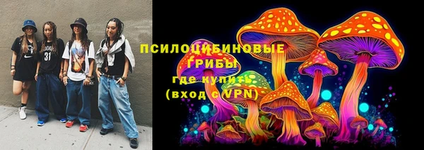 mdpv Переславль-Залесский