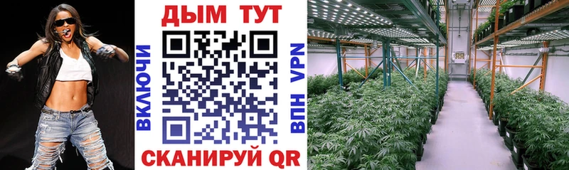 Конопля THC 21% Каневская